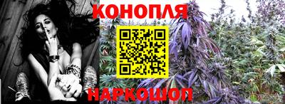 гидра Коммунар