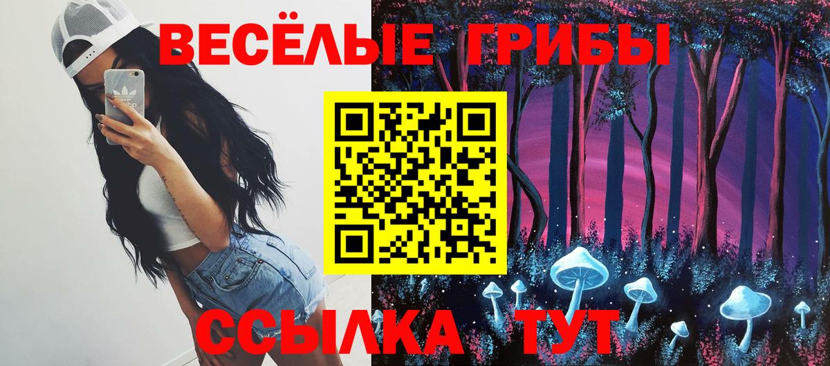 Псилоцибиновые грибы мицелий Владимир