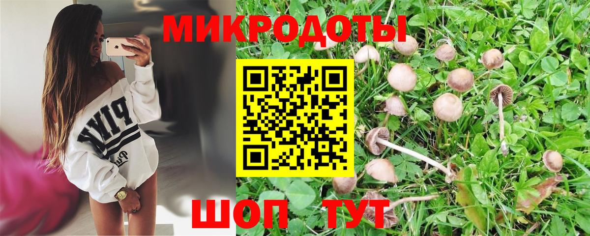 Владимир  Псилоцибиновые грибы Magic Shrooms  Вход с VPN 
