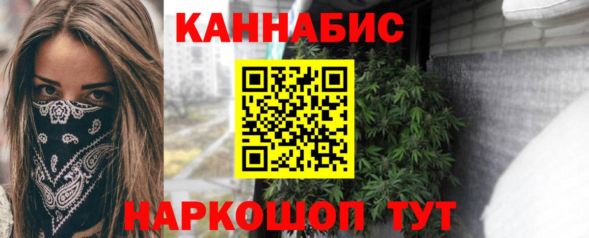 Бошки Шишки планчик  Конопля семена  Вход с VPN  Владимир  Марихуана гибрид  Канабис VHQ 